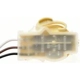 Purchase Top-Quality Backup Light Socket by BLUE STREAK (HYGRADE MOTOR) - S502 pa17