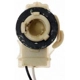 Purchase Top-Quality Backup Light Socket by BLUE STREAK (HYGRADE MOTOR) - S506 pa37