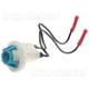 Purchase Top-Quality Backup Light Socket by BLUE STREAK (HYGRADE MOTOR) - S509 pa20