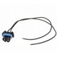 Purchase Top-Quality Backup Light Socket by BLUE STREAK (HYGRADE MOTOR) - S524 pa11
