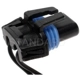 Purchase Top-Quality Backup Light Socket by BLUE STREAK (HYGRADE MOTOR) - S524 pa4