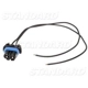 Purchase Top-Quality Backup Light Socket by BLUE STREAK (HYGRADE MOTOR) - S524 pa6