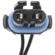 Purchase Top-Quality Backup Light Socket by BLUE STREAK (HYGRADE MOTOR) - S524 pa8