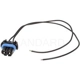 Purchase Top-Quality Backup Light Socket by BLUE STREAK (HYGRADE MOTOR) - S524 pa9