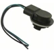 Purchase Top-Quality Backup Light Socket by BLUE STREAK (HYGRADE MOTOR) - S532 pa12