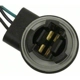 Purchase Top-Quality Backup Light Socket by BLUE STREAK (HYGRADE MOTOR) - S532 pa16