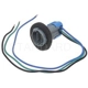Purchase Top-Quality Backup Light Socket by BLUE STREAK (HYGRADE MOTOR) - S548 pa11