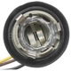 Purchase Top-Quality Backup Light Socket by BLUE STREAK (HYGRADE MOTOR) - S55 pa3