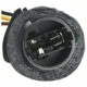 Purchase Top-Quality Backup Light Socket by BLUE STREAK (HYGRADE MOTOR) - S559 pa8