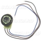 Purchase Top-Quality Backup Light Socket by BLUE STREAK (HYGRADE MOTOR) - S584 pa18