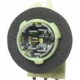 Purchase Top-Quality Backup Light Socket by BLUE STREAK (HYGRADE MOTOR) - S584 pa20