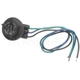 Purchase Top-Quality Backup Light Socket by BLUE STREAK (HYGRADE MOTOR) - S585 pa14