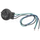 Purchase Top-Quality Backup Light Socket by BLUE STREAK (HYGRADE MOTOR) - S585 pa2