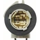 Purchase Top-Quality Backup Light Socket by BLUE STREAK (HYGRADE MOTOR) - S586 pa11