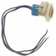 Purchase Top-Quality Backup Light Socket by BLUE STREAK (HYGRADE MOTOR) - S590 pa16