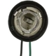 Purchase Top-Quality Backup Light Socket by BLUE STREAK (HYGRADE MOTOR) - S63 pa12