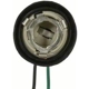Purchase Top-Quality Backup Light Socket by BLUE STREAK (HYGRADE MOTOR) - S63 pa15