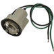 Purchase Top-Quality Backup Light Socket by BLUE STREAK (HYGRADE MOTOR) - S63 pa2