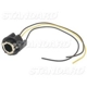Purchase Top-Quality Backup Light Socket by BLUE STREAK (HYGRADE MOTOR) - S65 pa13