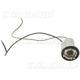 Purchase Top-Quality Backup Light Socket by BLUE STREAK (HYGRADE MOTOR) - S67 pa18