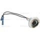 Purchase Top-Quality Backup Light Socket by BLUE STREAK (HYGRADE MOTOR) - S71 pa16