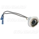 Purchase Top-Quality Backup Light Socket by BLUE STREAK (HYGRADE MOTOR) - S71 pa18