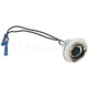 Purchase Top-Quality Backup Light Socket by BLUE STREAK (HYGRADE MOTOR) - S71 pa21