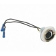 Purchase Top-Quality Backup Light Socket by BLUE STREAK (HYGRADE MOTOR) - S71 pa23