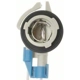 Purchase Top-Quality Backup Light Socket by BLUE STREAK (HYGRADE MOTOR) - S767 pa21