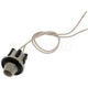 Purchase Top-Quality Backup Light Socket by BLUE STREAK (HYGRADE MOTOR) - S789 pa23