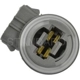 Purchase Top-Quality Backup Light Socket by BLUE STREAK (HYGRADE MOTOR) - S806 pa13