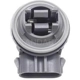 Purchase Top-Quality Backup Light Socket by BLUE STREAK (HYGRADE MOTOR) - S807 pa2