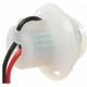 Purchase Top-Quality Backup Light Socket by BLUE STREAK (HYGRADE MOTOR) - S858 pa13