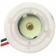 Purchase Top-Quality Backup Light Socket by BLUE STREAK (HYGRADE MOTOR) - S858 pa14