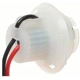Purchase Top-Quality Backup Light Socket by BLUE STREAK (HYGRADE MOTOR) - S858 pa4