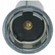 Purchase Top-Quality Backup Light Socket by BLUE STREAK (HYGRADE MOTOR) - S865 pa4