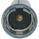 Purchase Top-Quality Backup Light Socket by BLUE STREAK (HYGRADE MOTOR) - S865 pa6