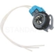 Purchase Top-Quality Backup Light Socket by BLUE STREAK (HYGRADE MOTOR) - S868 pa1