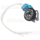 Purchase Top-Quality Backup Light Socket by BLUE STREAK (HYGRADE MOTOR) - S868 pa4