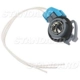 Purchase Top-Quality Prise de lumière de feu de recul by BLUE STREAK (HYGRADE MOTOR) - S868 pa4