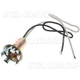 Purchase Top-Quality Prise de lumière de feu de recul de BLUE STREAK (HYGRADE MOTOR) - S89 pa10