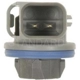 Purchase Top-Quality Backup Light Socket by BLUE STREAK (HYGRADE MOTOR) - S923 pa3