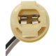 Purchase Top-Quality Backup Light Socket by BLUE STREAK (HYGRADE MOTOR) - S99 pa13