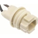 Purchase Top-Quality Backup Light Socket by BLUE STREAK (HYGRADE MOTOR) - S99 pa16