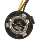 Purchase Top-Quality Backup Light Socket by DORMAN/CONDUCT-TITE - 85824 pa17