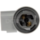 Purchase Top-Quality Backup Light Socket by DORMAN/TECHOICE - 645-693 pa13