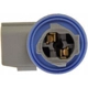 Purchase Top-Quality Backup Light Socket by DORMAN/TECHOICE - 645-693 pa17