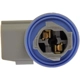 Purchase Top-Quality Backup Light Socket by DORMAN/TECHOICE - 645-693 pa5