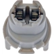 Purchase Top-Quality Backup Light Socket by DORMAN/TECHOICE - 645-934 pa1