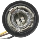 Purchase Top-Quality STANDARD - PRO SERIES - S55 - Back Up Light Socket pa3